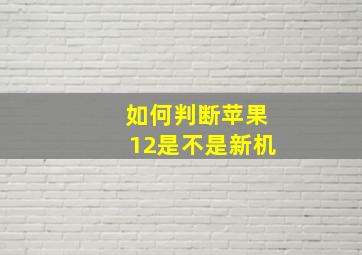 如何判断苹果12是不是新机