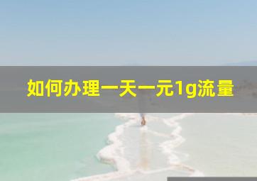 如何办理一天一元1g流量