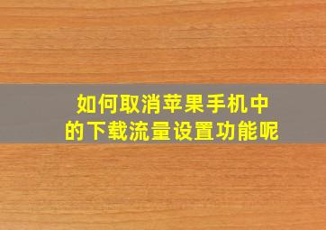 如何取消苹果手机中的下载流量设置功能呢