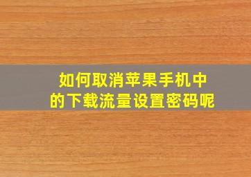 如何取消苹果手机中的下载流量设置密码呢