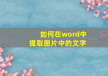 如何在word中提取图片中的文字