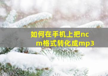 如何在手机上把ncm格式转化成mp3