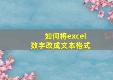 如何将excel数字改成文本格式