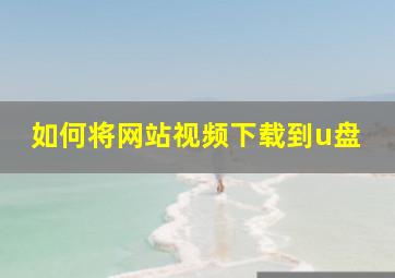 如何将网站视频下载到u盘