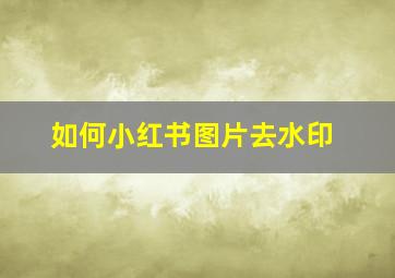 如何小红书图片去水印