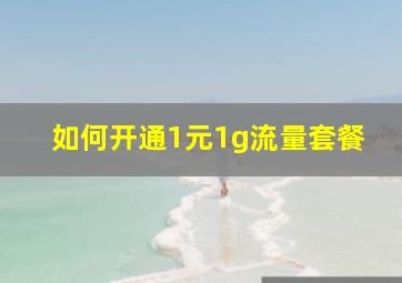 如何开通1元1g流量套餐