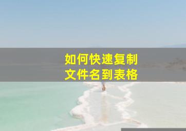 如何快速复制文件名到表格