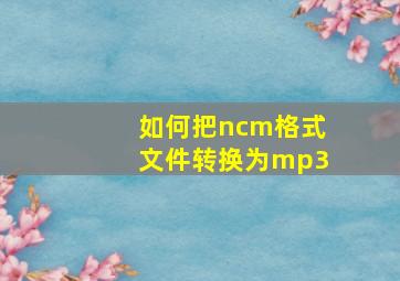 如何把ncm格式文件转换为mp3