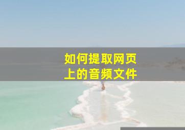 如何提取网页上的音频文件