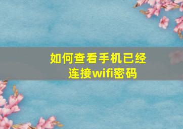 如何查看手机已经连接wifi密码