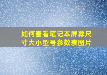 如何查看笔记本屏幕尺寸大小型号参数表图片