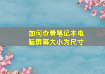 如何查看笔记本电脑屏幕大小为尺寸