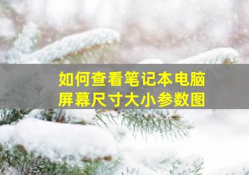 如何查看笔记本电脑屏幕尺寸大小参数图