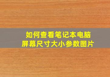 如何查看笔记本电脑屏幕尺寸大小参数图片