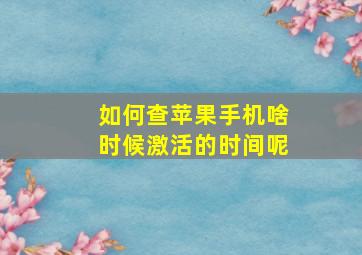 如何查苹果手机啥时候激活的时间呢