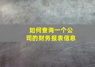 如何查询一个公司的财务报表信息