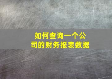 如何查询一个公司的财务报表数据