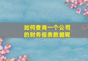 如何查询一个公司的财务报表数据呢