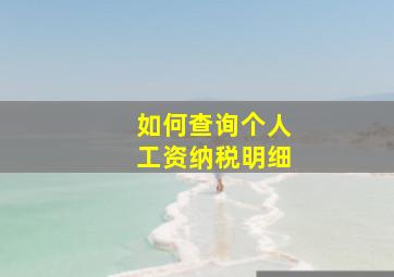 如何查询个人工资纳税明细