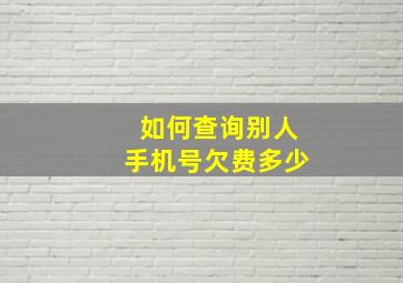 如何查询别人手机号欠费多少