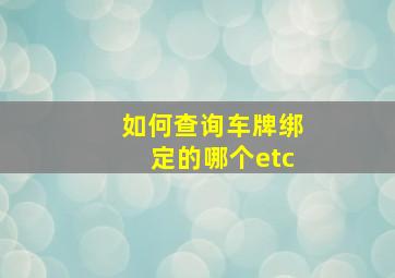 如何查询车牌绑定的哪个etc