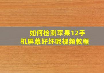 如何检测苹果12手机屏幕好坏呢视频教程