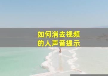 如何消去视频的人声音提示