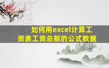 如何用excel计算工资表工资总额的公式数据