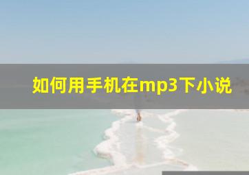 如何用手机在mp3下小说