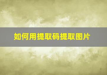 如何用提取码提取图片