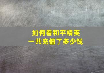 如何看和平精英一共充值了多少钱