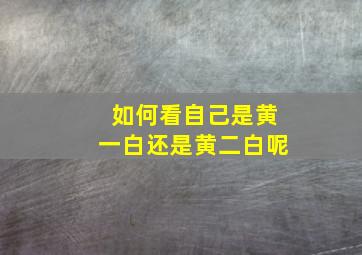 如何看自己是黄一白还是黄二白呢