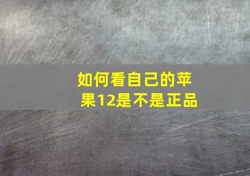 如何看自己的苹果12是不是正品