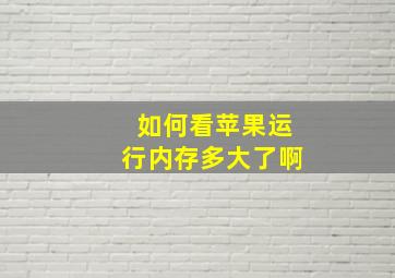 如何看苹果运行内存多大了啊