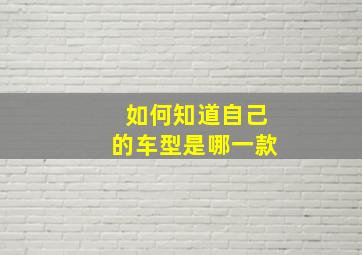 如何知道自己的车型是哪一款