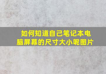 如何知道自己笔记本电脑屏幕的尺寸大小呢图片