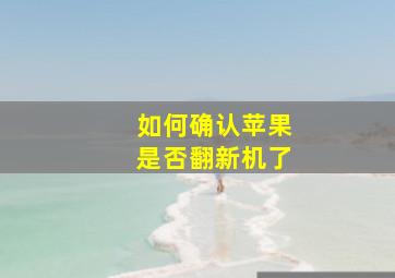 如何确认苹果是否翻新机了