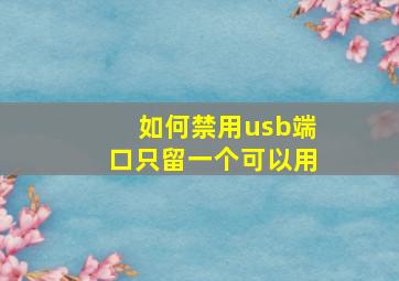 如何禁用usb端口只留一个可以用