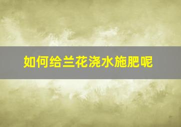 如何给兰花浇水施肥呢