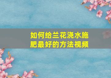 如何给兰花浇水施肥最好的方法视频