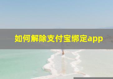 如何解除支付宝绑定app