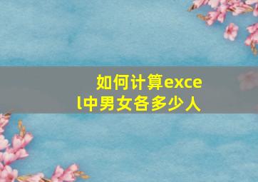 如何计算excel中男女各多少人