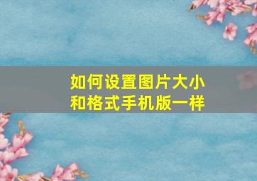 如何设置图片大小和格式手机版一样