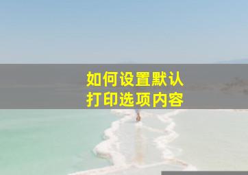 如何设置默认打印选项内容