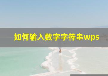 如何输入数字字符串wps