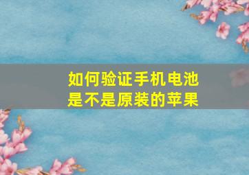 如何验证手机电池是不是原装的苹果