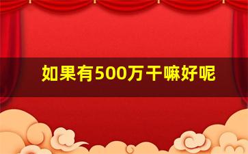 如果有500万干嘛好呢