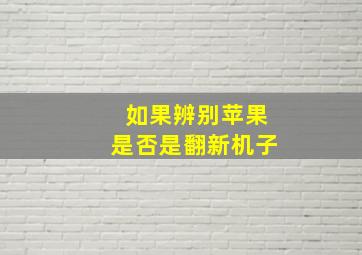 如果辨别苹果是否是翻新机子