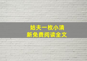 姑夫一枚小清新免费阅读全文