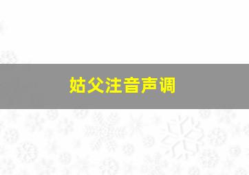 姑父注音声调